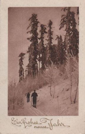 Frohes neues Jahr - Skifahrer Frohes neues Jahr - Skifahrer
