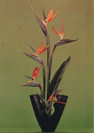 Ikebana Zauber der Natur Ikebana Zauber der Natur