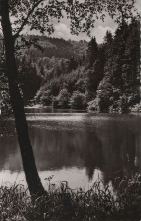 Siegen - Sohlbacher Weiher - ca. 1960 Siegen - Sohlbacher Weiher - ca. 1960
