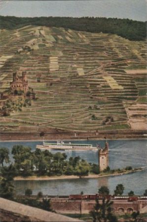 Rüdesheim, Ruine Ehrenfels - mit Mäuseturm - ca. 1960 Rüdesheim, Ruine Ehrenfels - mit Mäuseturm - ca. 1960