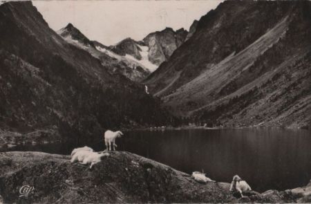 Frankreich - Cauterets - Le Lac de Gaube - 1959 Frankreich - Cauterets - Le Lac de Gaube - 1959