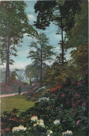Dresden - Kgl. Großer garten - ca. 1920 Dresden - Kgl. Großer garten - ca. 1920