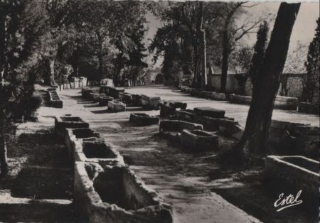 Frankreich - Arles - Les alyscamps allee des Tombeaux - ca. 1965 Frankreich - Arles - Les alyscamps allee des Tombeaux - ca. 1965