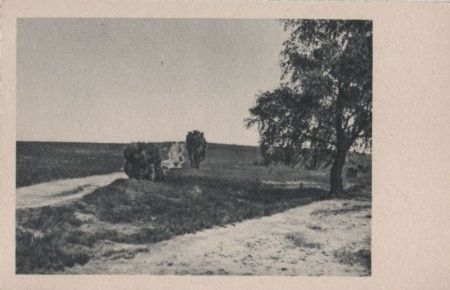 Weg auf sanften Hügel - ca. 1955 Weg auf sanften Hügel - ca. 1955