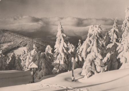 Wünsche zum Jahreswechsel - ca. 1965 Wünsche zum Jahreswechsel - ca. 1965