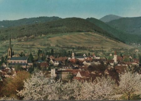 Müllheim - Belchenblick - 1985 Müllheim - Belchenblick - 1985