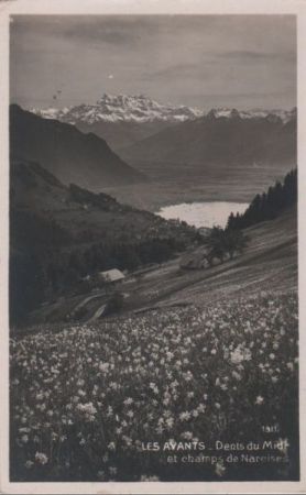 Schweiz - Les Avants - Dents du Midi - ca. 1950 Schweiz - Les Avants - Dents du Midi - ca. 1950