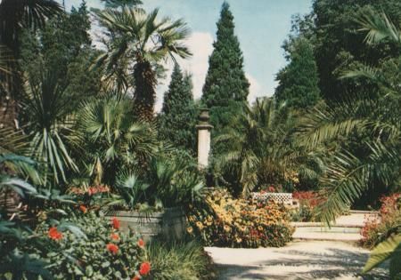 Bad Pyrmont - Palmengarten - 1968 Bad Pyrmont - Palmengarten - 1968
