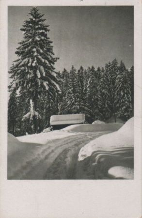 Schnelandschaft im Winter Schnelandschaft im Winter