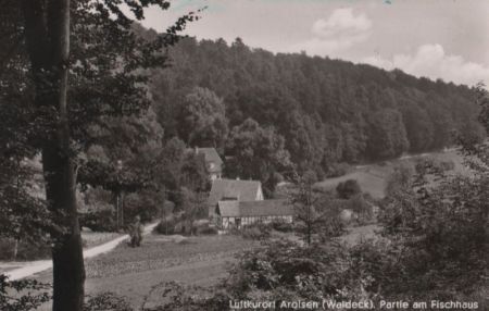 Bad Arolsen - Partie am Fischhaus - ca. 1960 Bad Arolsen - Partie am Fischhaus - ca. 1960
