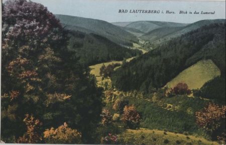 Bad Lauterberg - Blick in das Luttertal - 1948 Bad Lauterberg - Blick in das Luttertal - 1948