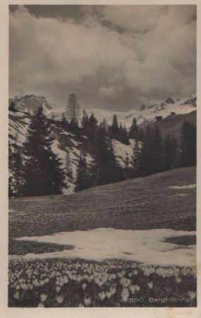 Bergfrühling - ca. 1950 Bergfrühling - ca. 1950
