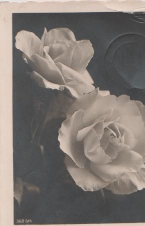 Glückwünsche zum Geburtstag - 1939 Glückwünsche zum Geburtstag - 1939