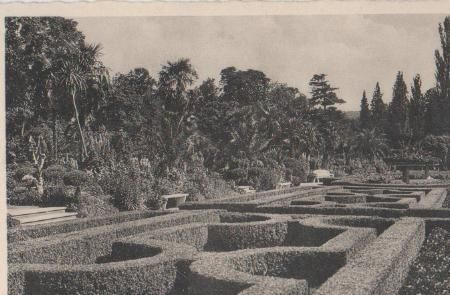 Bad Pyrmont - Palmengarten - ca. 1945 Bad Pyrmont - Palmengarten - ca. 1945