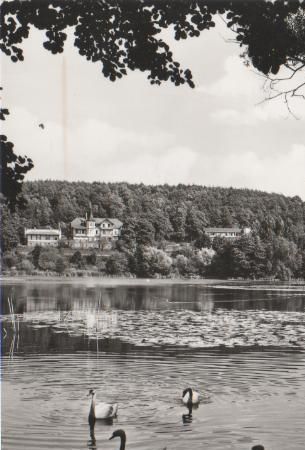 Buckow - Am Griepensee - 1982 Buckow - Am Griepensee - 1982