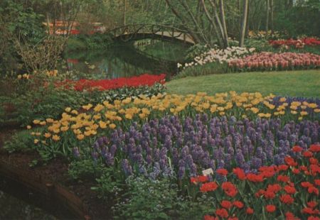 Niederlande - Lisse - Keukenhof - ca. 1985 Niederlande - Lisse - Keukenhof - ca. 1985