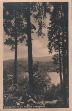 Georgenthal - Blick zum Hammerteich - ca. 1960 Georgenthal - Blick zum Hammerteich - ca. 1960