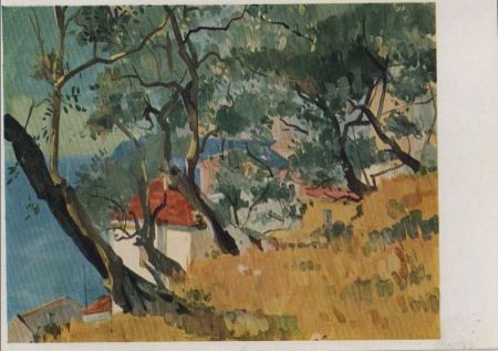 Italien - Cervo - mit Olivenbäumen - 1962 Italien - Cervo - mit Olivenbäumen - 1962