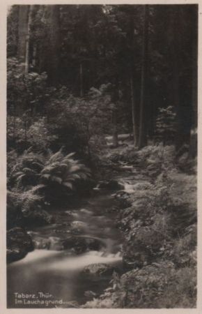 Tabarz - Im Lauchagrund - ca. 1950 Tabarz - Im Lauchagrund - ca. 1950