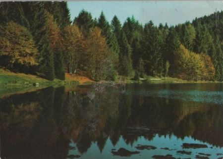 Neuenweg - Heubronn - ca. 1980 Neuenweg - Heubronn - ca. 1980