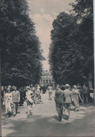 Bad Pyrmont - Hauptallee - ca. 1950 Bad Pyrmont - Hauptallee - ca. 1950