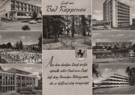 Bad Rappenau - u.a. Im Schloßpark - 1972 Bad Rappenau - u.a. Im Schloßpark - 1972