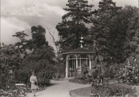Sangerhausen - Im Rosarium - 1981 Sangerhausen - Im Rosarium - 1981