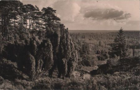 weiter Wald - ca. 1960 weiter Wald - ca. 1960
