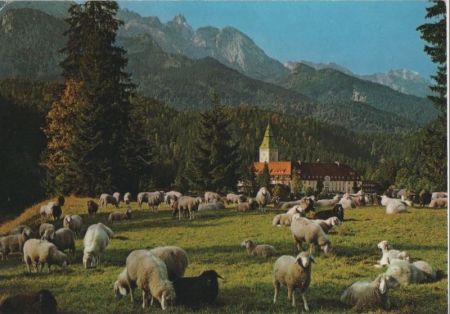 Klais, Schloss Elmau - Schafe Klais, Schloss Elmau - Schafe