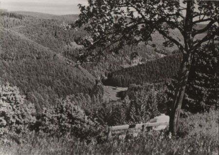 Frauenwald - Blick ins Tränkbachtal - 1976 Frauenwald - Blick ins Tränkbachtal - 1976