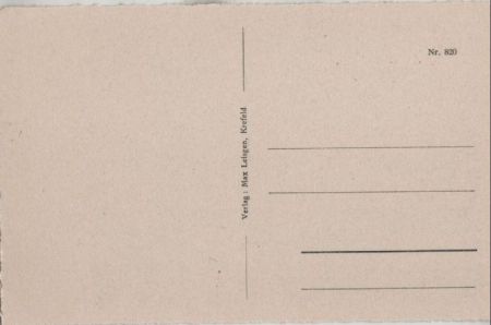 Blühende Bäume am Weg