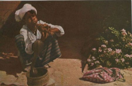 Pakistan - Karatschi - Karachi - Snake Charmer - 1965 Pakistan - Karatschi - Karachi - Snake Charmer - 1965