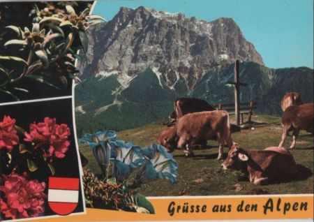Österreich - Alpen - Grüsse - 1979 Österreich - Alpen - Grüsse - 1979