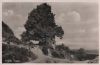 Waldstetten, Reiterleskapelle - 1953