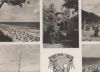 Koserow - 1962