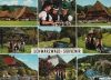 Schwarzwald - Souvenir - ca. 1980