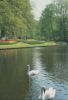 Niederlande - Lisse - Keukenhof - ca. 1980