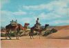 Vorschaubild: Spanien - Maspalomas - Camellos en las dunas - 1976 Spanien - Maspalomas - Camellos en las dunas - 1976