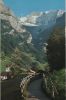 Schweiz - Grindelwald - Flescherwand - 1967