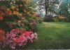 Italien - Isola Madre - Giardini - ca. 1975
