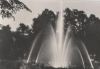 Blankenburg Harz - Thiepark - 1974
