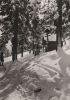 Oberwiesenthal - Am Eckbauer - 1981
