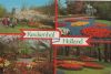 Niederlande - Holland - Keukenhof - ca. 1985