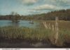 Großbritannien - Lampeter - Falcondale Lake - 1996