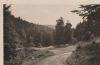 Vessertal im Thüringer Wald - ca. 1955