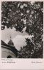 Mainau - Unter Orangen an der Schloßkirche - 1952