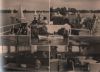 Berlin - Weiße Flotte - 1960