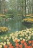 Niederlande - Keukenhof - Lisse-Holland - ca. 1975