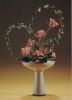 Ikebana Reigen