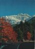 Schweiz - Säntis - Blick von der Steinfluh - ca. 1980